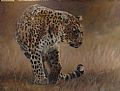 Big Cats - Nature Art by Anni Crouter